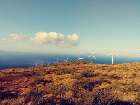 You'll Love Every Step Of This Breathtaking Hawaii Windmill Trail