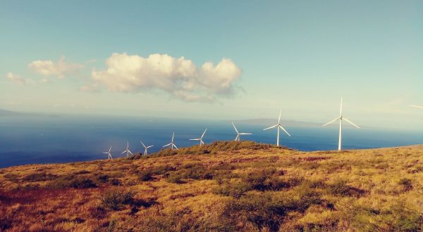 You’ll Love Every Step Of This Breathtaking Hawaii Windmill Trail
