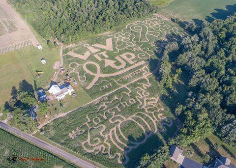 Everyone Gets Lost In The 11-Acre Corn Maze At This Classic Fall Farm In Indiana