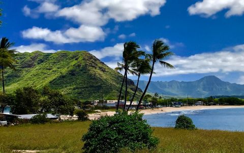 This Easy Hike In Hawaii Is Under 2 Miles And You'll Love Every Step You Take