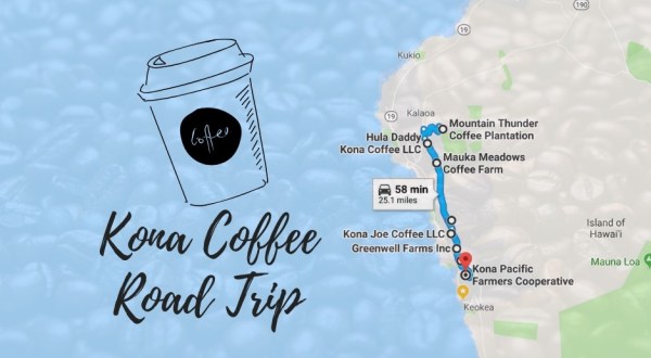 This Awesome Road Trip Will Take You To Hawaii’s Most Unique Coffee Farms