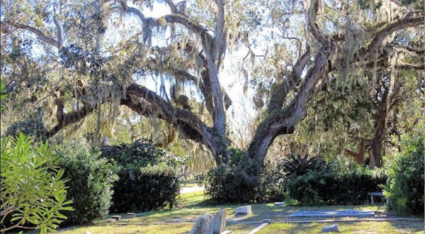 You Might Just Spot A Ghost At The Oldest Cemetery In Florida