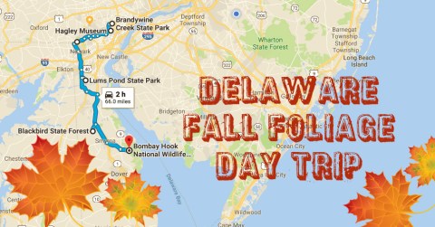 This 2-Hour Drive Through Delaware Is The Best Way To See This Year's Fall Colors