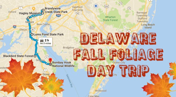 This 2-Hour Drive Through Delaware Is The Best Way To See This Year’s Fall Colors