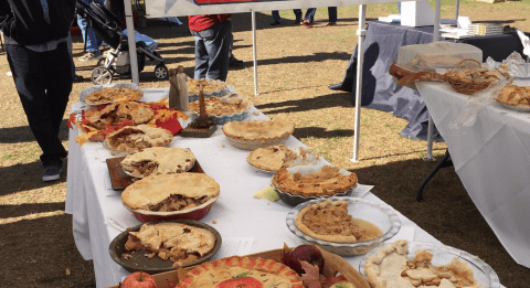 The Apple Festival In Massachusetts Where You'll Have Loads Of Delicious Fun