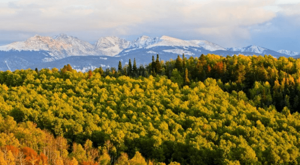 This 2-Hour Drive Through Colorado Is The Best Way To See This Year’s Fall Colors