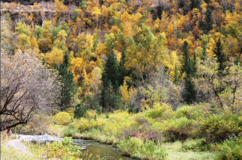 This 2-Hour Drive Through South Dakota Is The Best Way To See This Year's Fall Colors