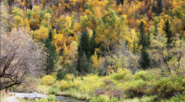 This 2-Hour Drive Through South Dakota Is The Best Way To See This Year’s Fall Colors