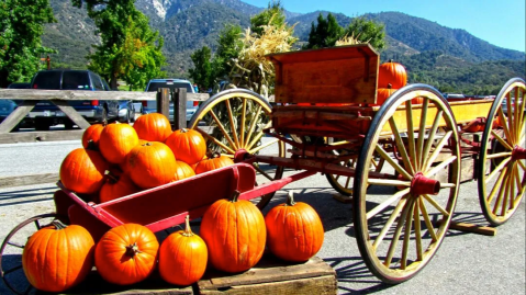 The Heavenly Day Trip In Southern California That You'll Want To Save For a Crisp Fall Day