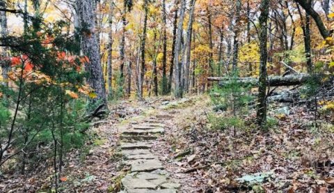 If You Only Hike Once This Fall Make Sure It's On This Arkansas Trail