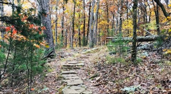 If You Only Hike Once This Fall Make Sure It’s On This Arkansas Trail