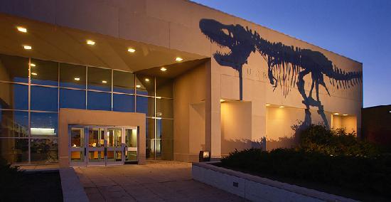 One Of The World’s Largest Collections Of Dinosaur Bones Is Hiding Out Here In Montana