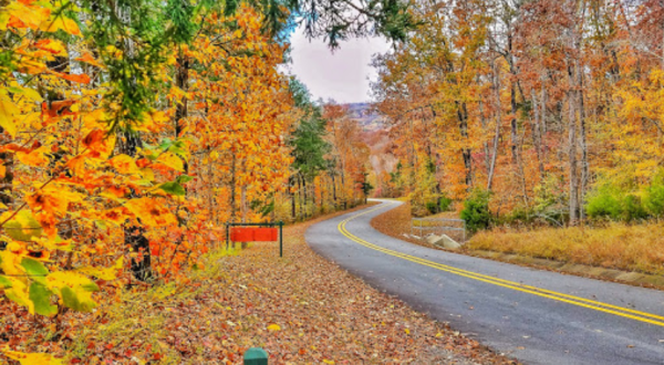 See This Year’s Fall Colors On The Boston Mountains Scenic Loop, A 2-Hour Drive Through Arkansas