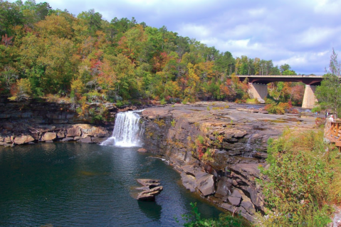 The One Place Everyone In Alabama Should Add To Their Fall Bucket List