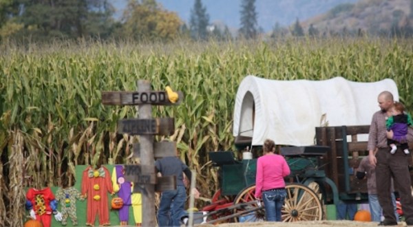 The Main Attraction At This Oregon Festival Is An Absolute Blast