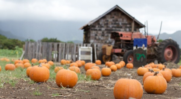 There’s No Better Way To Celebrate Fall Than With This Incredible Harvest Festival In Hawaii