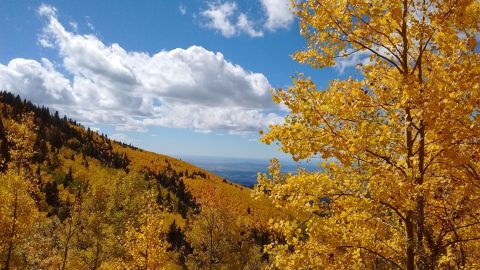 This Incredible Hike Is The Best Way To See Endless Fall Colors In New Mexico