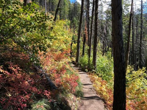 The Awesome Hike That Will Take You To The Most Spectacular Fall Foliage In Montana