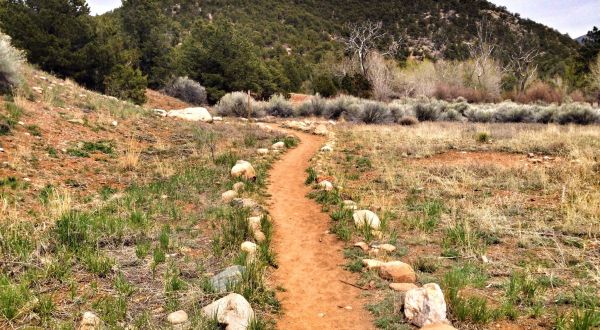 This Easy Fall Hike In New Mexico Is Under 2 Miles And You’ll Love Every Step You Take