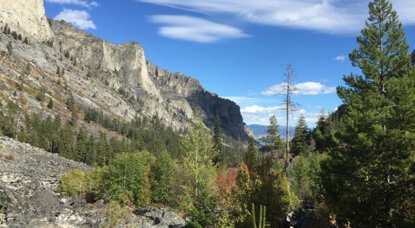 Fall Is The Perfect Season To Discover This Incredibly Scenic Montana Trail