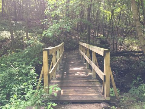 The Magnificent Bridge Trail In Minnesota That Will Lead You To A Hidden Overlook