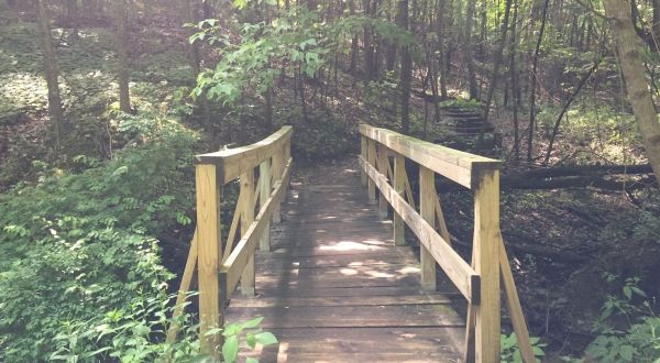 The Magnificent Bridge Trail In Minnesota That Will Lead You To A Hidden Overlook