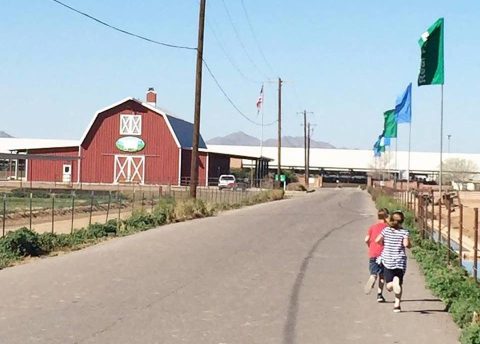 You'll Have Loads Of Fun At This Dairy Farm In Arizona With Incredible Ice Cream