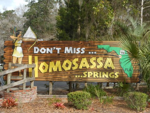 This One Florida Park Transforms Into A Manatee Wonderland Each Fall