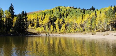 This Fall Hike In Utah Is A Doggone Good Time For All