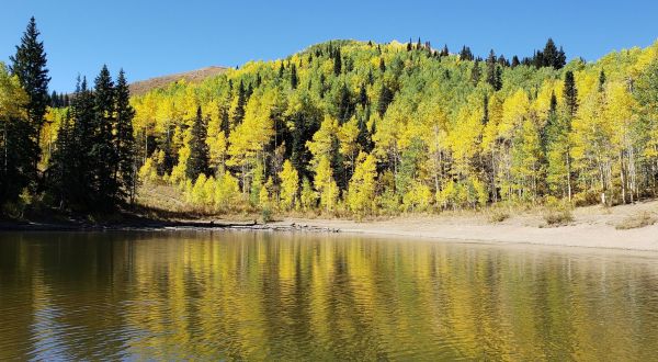 This Fall Hike In Utah Is A Doggone Good Time For All