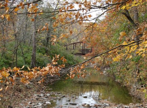 This Easy Fall Hike In Missouri Is Under 2 Miles And You'll Love Every Step You Take