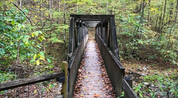 This Easy Fall Hike In Virginia Is Under 2 Miles And You’ll Love Every Step You Take