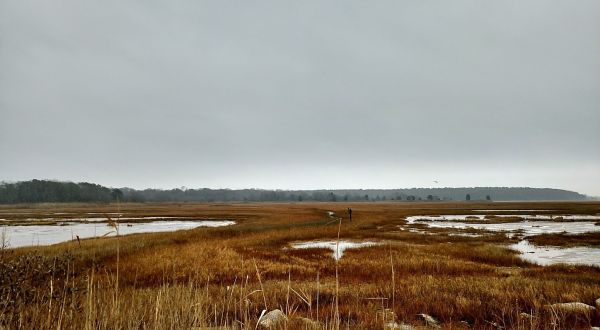 The 5-Mile Connecticut Wetlands Hike That’s Best To Take In The Fall