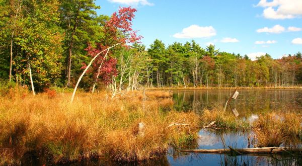 This 4-Mile Hike In Rhode Island Will Surround You With The Most Vibrant Autumn Colors