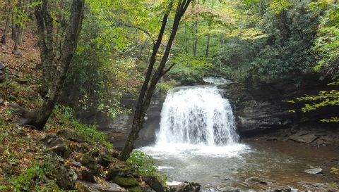 Most People Will Never See This Wondrous Waterfall Hiding In West Virginia