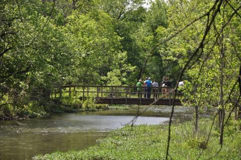 This 10 Mile Trail Takes You Through Oklahoma's Forests, Grasslands, And Wetlands