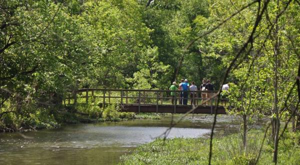 This 10 Mile Trail Takes You Through Oklahoma’s Forests, Grasslands, And Wetlands