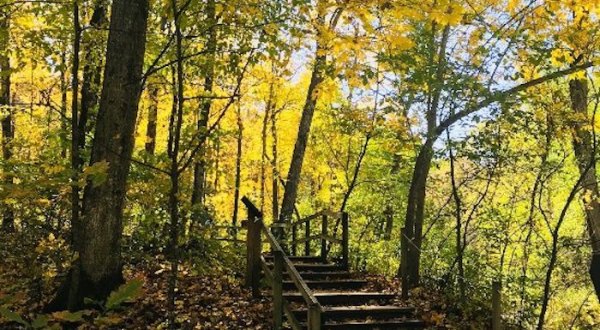 This Easy Fall Hike In Minnesota Is Under 2 Miles And You’ll Love Every Step You Take