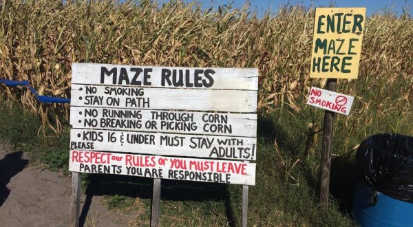 The Awesome Florida Corn Maze That Only Gets Better Year After Year