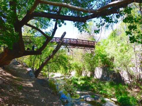 Take A Journey Through This One-Of-A-Kind Bridge Park In New Mexico