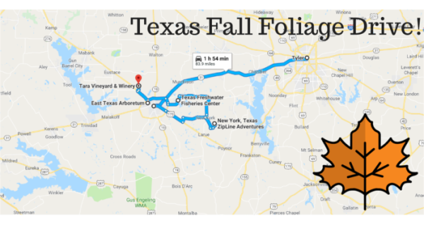 This 2-Hour Drive Through Texas Is The Best Way To See This Year’s Fall Colors