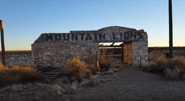 Everyone In Arizona Should See What’s Inside The Gates Of This Abandoned Zoo