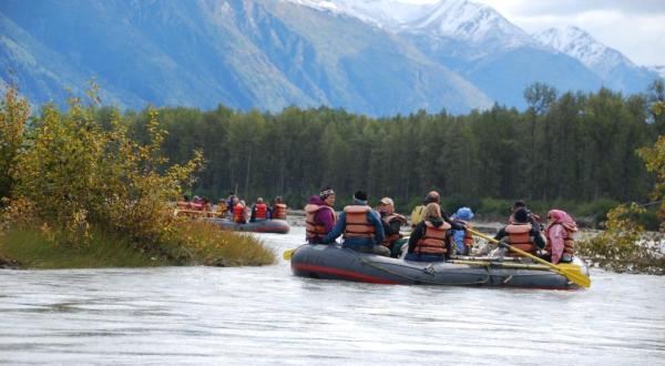 This One Alaska Park Is Home To The Largest Gathering Of Bald Eagles In The World