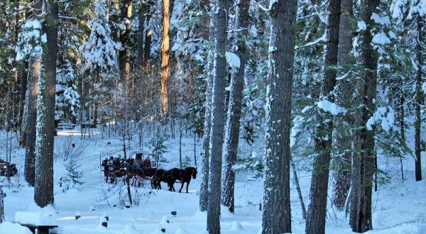 Take A Horse Drawn Carriage Ride Through Northern California’s Oldest Trees This Holiday Season