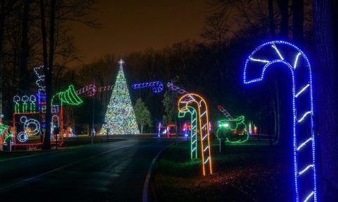 Take A Dreamy Ride Through The Largest Drive-Thru Light Show In Maryland, The Festival Of Lights