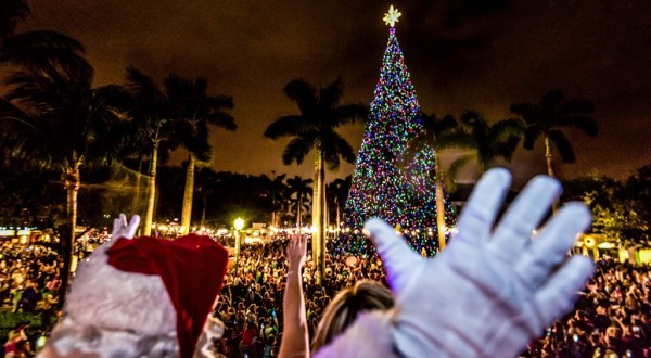 The Magical Florida Christmas Tree That Comes Alive With A Million Colorful Lights
