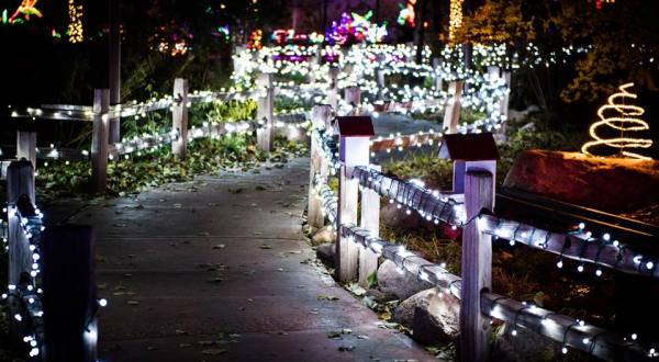 You Will Love This Dreamy Stroll Through The Largest Walk-Through Light Show In New Mexico