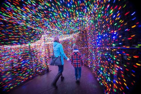 The Mesmerizing Christmas Display In Oregon With Over 1.5 Million Glittering Lights