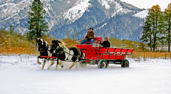 Take A Horse Drawn Carriage Ride In Idaho For A Night Of Pure Wonder