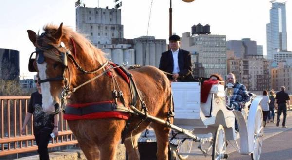 Take A Horse Drawn Carriage Ride In Minnesota For A Night Of Pure Wonder